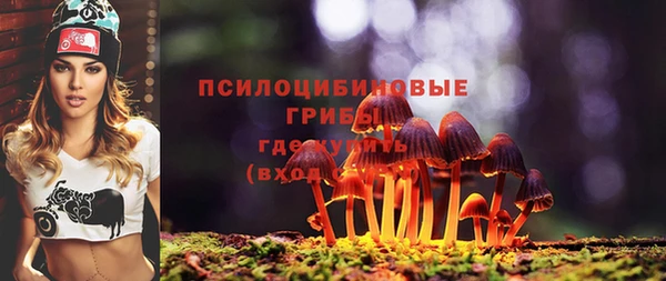 трава Осташков
