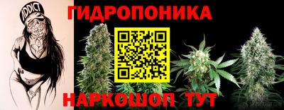 мдпв Обнинск