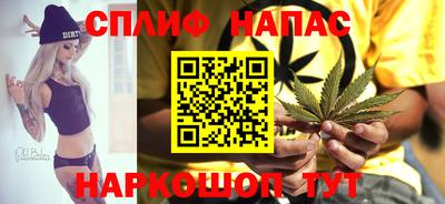 мдпв Обнинск