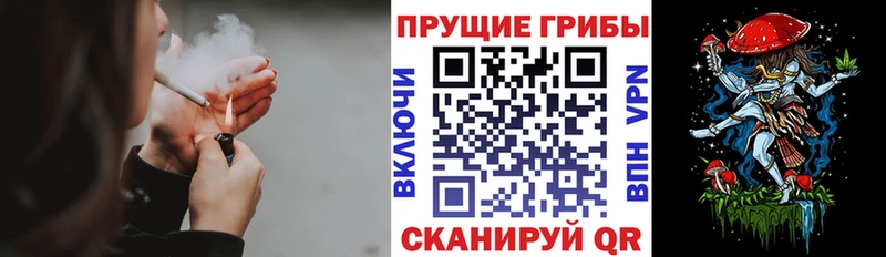 купить наркотик  Слободской  omg как зайти  Псилоцибиновые грибы мицелий 