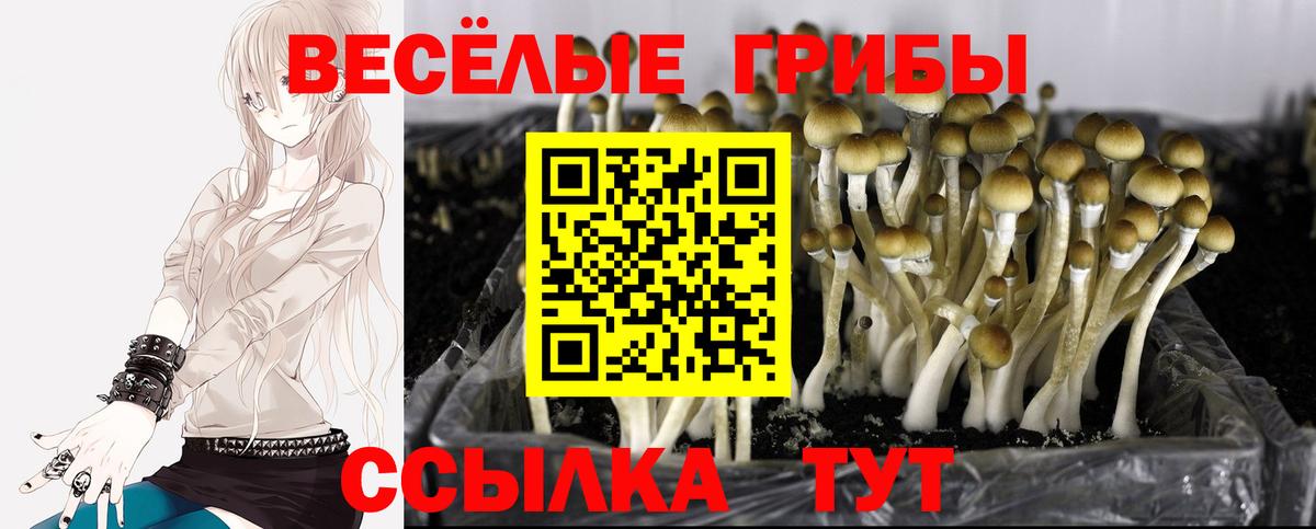 Слободской  Галлюциногенные грибы Psilocybe  Псилоцибиновые грибы Psilocybe  Вход с VPN 