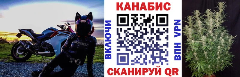 где купить   Слободской  Канабис OG Kush 